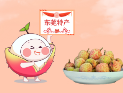 漫话j9数字站丨一颗有“故事”的荔枝！