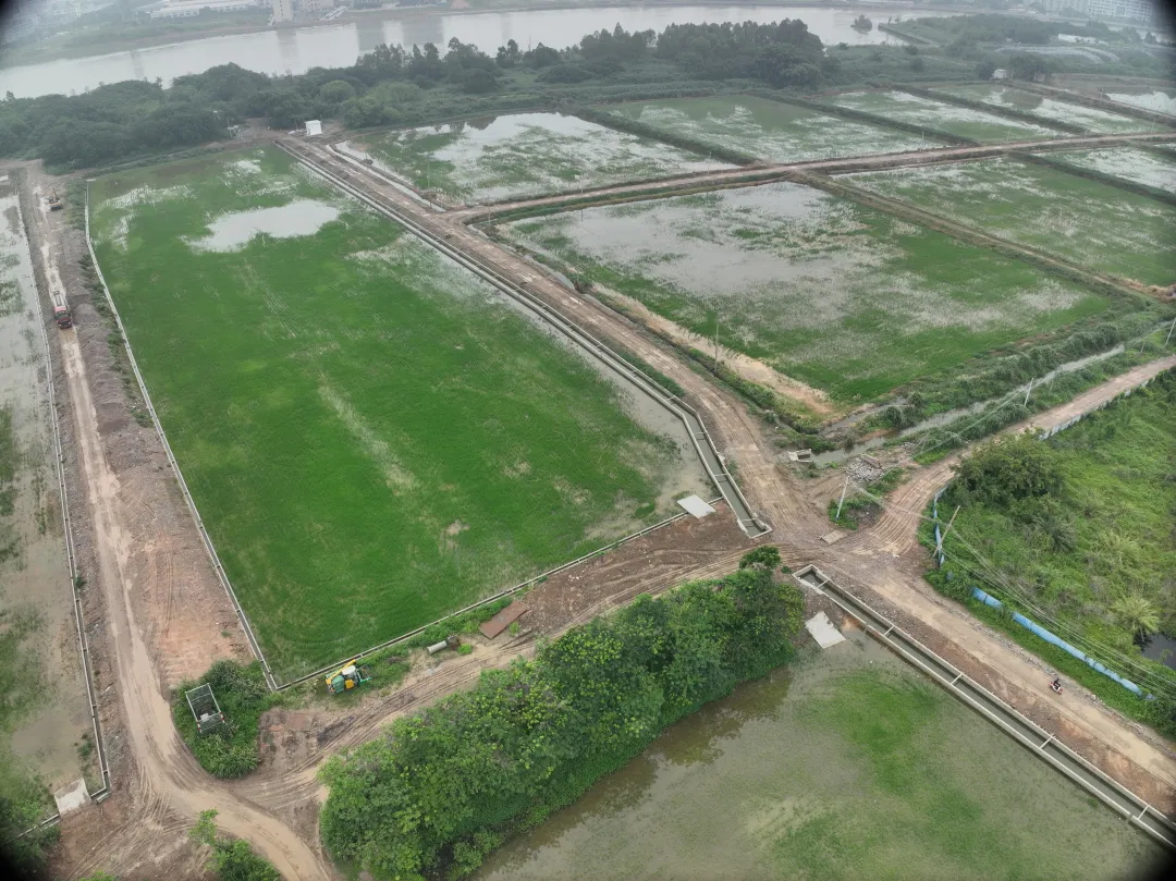 j9数字站集团丨复耕道滘撂荒地，，绘就田园新图景