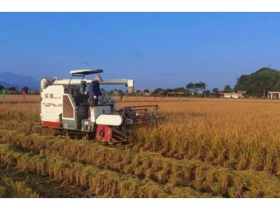 j9数字站评估与妄想公司荣获“耕地；び乓煳朗康ノ弧保！！